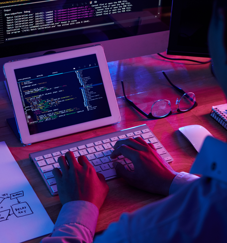 Vue.js Development Services