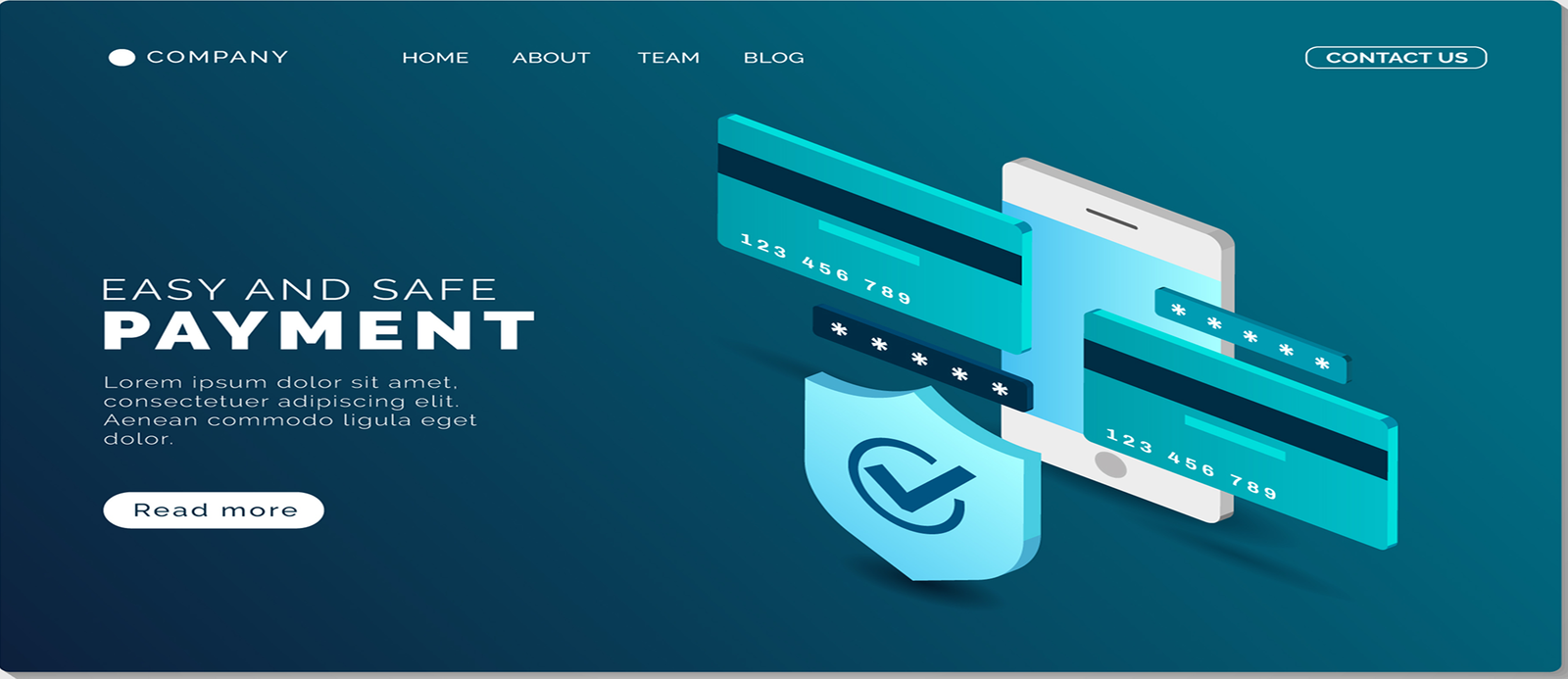 Payment Security Platform